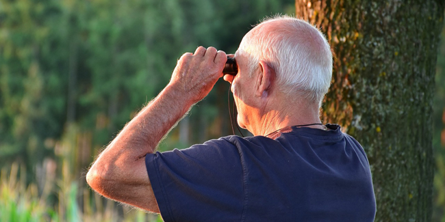 découvrez les meilleures mutuelles santé pour seniors : offres adaptées, remboursements avantageux et services personnalisés pour garantir votre bien-être et votre sérénité. protégez votre santé avec des solutions sur mesure.