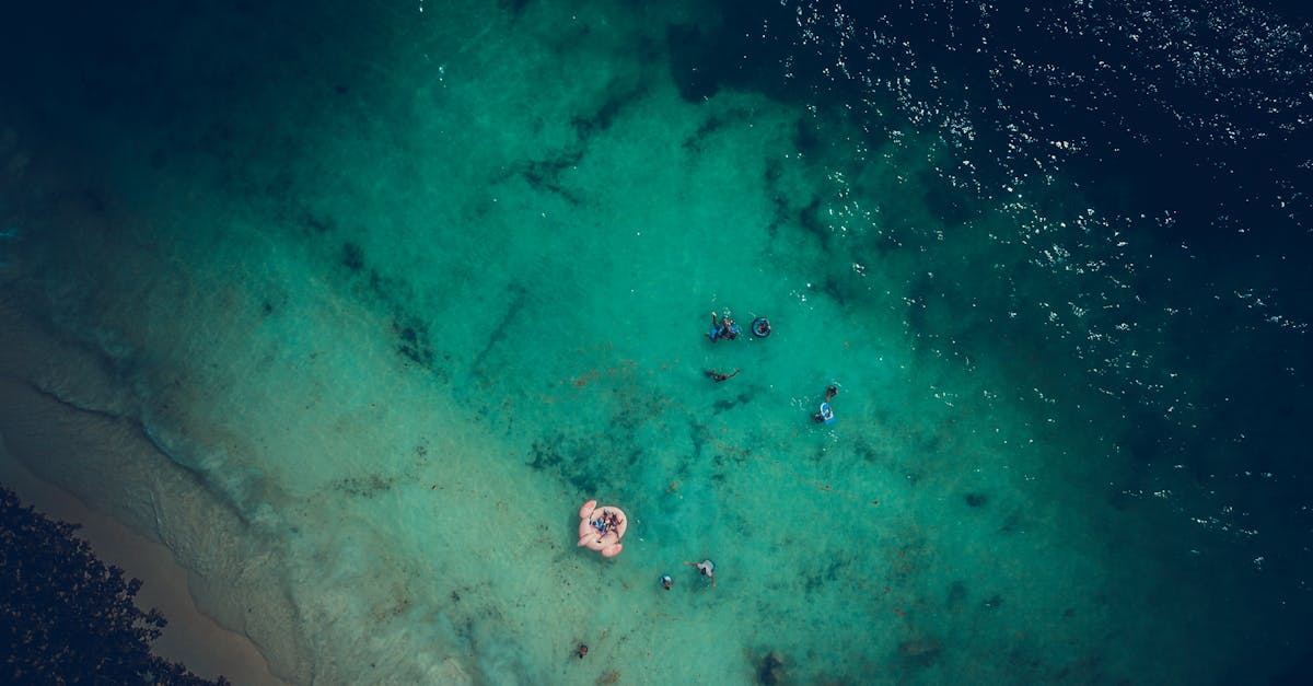 découvrez les seychelles, un paradis tropical composé de plages de sable blanc, d'eaux turquoises et d'une biodiversité exceptionnelle. explorez des îles idylliques, rencontrez des espèces uniques et vivez des aventures inoubliables dans cet archipel de l'océan indien.