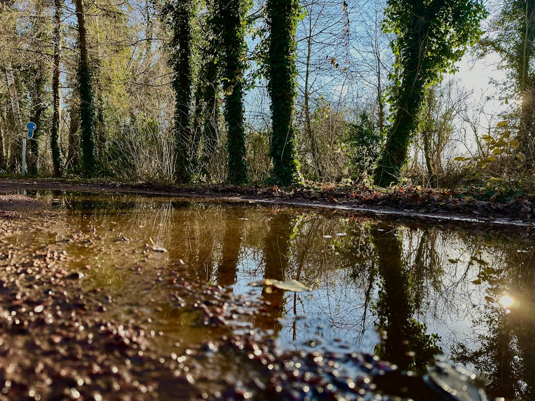 découvrez le concept de 'communal mutual', une initiative visant à renforcer la solidarité locale par le partage de ressources et l'entraide au sein des communautés. rejoignez-nous pour bâtir un avenir collectif, durable et inclusif.