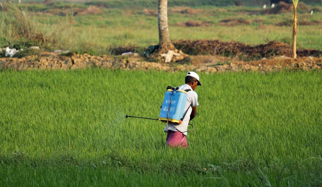 découvrez tout ce que vous devez savoir sur les pesticides : leur utilisation, les différents types, leur impact sur l'environnement et la santé, ainsi que des alternatives écologiques pour un jardinage responsable.