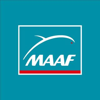 découvrez les tarifs compétitifs de la mutuelle maaf, adaptés à vos besoins. comparez nos offres pour bénéficier d'une couverture santé complète à un prix abordable.