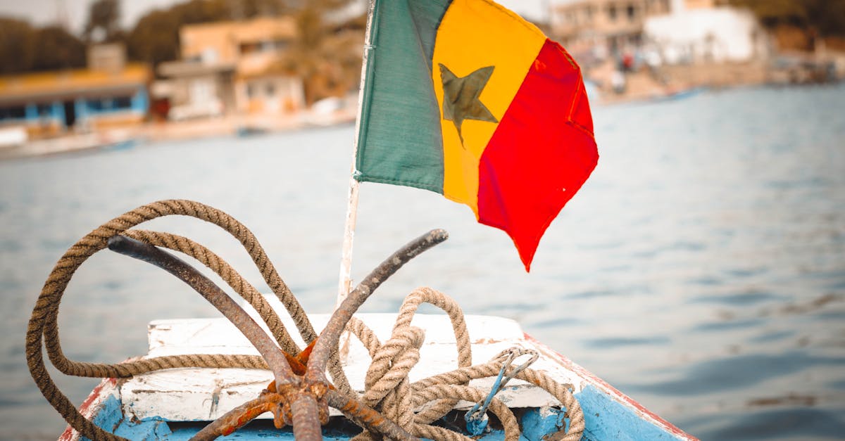 découvrez le sénégal, un pays vibrant de culture et de traditions, offrant des paysages à couper le souffle, des plages de sable fin et une richesse historique unique. plongez dans son atmosphère chaleureuse, sa gastronomie délicieuse et ses festivals colorés.