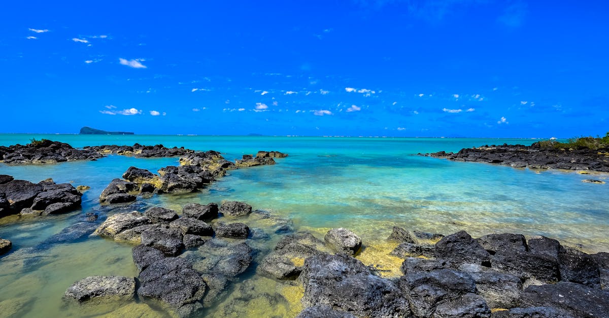 découvrez l'île maurice, un paradis tropical au cœur de l'océan indien, célèbre pour ses plages de sable blanc, ses eaux turquoise, sa culture riche et sa cuisine délicieuse. parfait pour des vacances inoubliables alliant détente, aventure et exploration.