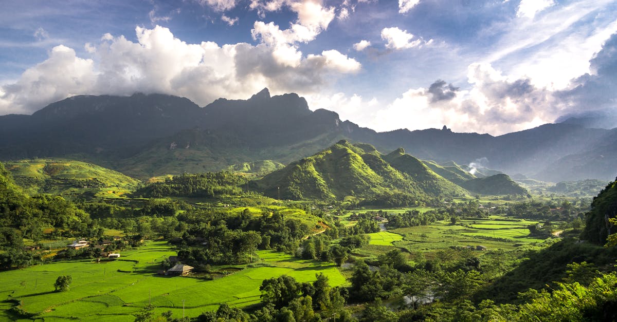 découvrez le vietnam, un pays riche en culture, paysages époustouflants et traditions fascinantes. explorez ses cités dynamiques, ses rizières en terrasses et sa délicieuse cuisine, tout en vous imprégnant de l'hospitalité chaleureuse de ses habitants. partez pour un voyage inoubliable au cœur de l'asie du sud-est.